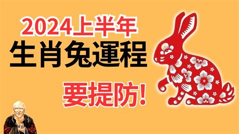 2025兔年運程1987|1987年生属兔人2025年全年运势详解，87年属兔人2025年每月运。